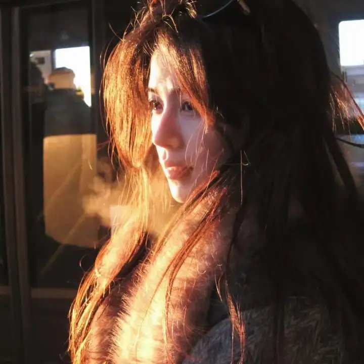 辣个艾莉丝